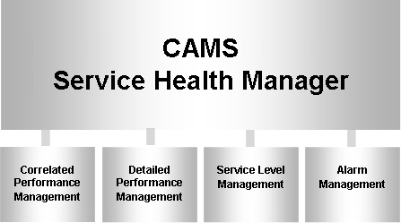 CAMS Service Health Manager